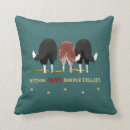 Recherche de cooley coussins Border collie
