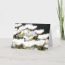 Recherche de florist vœux cartes Floral