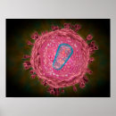 Recherche de protéine posters Abstrait