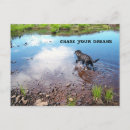 Recherche de chien de chasse vœux cartes Mignon