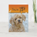 Recherche de de 75 ans anniversaire cartes Humour