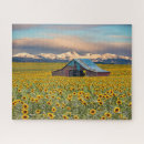 Recherche de farm puzzles Sky