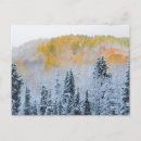Recherche de chute de neige cartes postales Bois