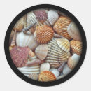 Recherche de palourde autocollants Plage