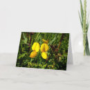 Recherche de orchidée jaune vœux cartes Orchidées