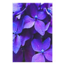 Recherche de magnifique mur posters Bleu