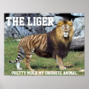 Recherche de près de posters Animal