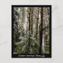 Recherche de temps de noël cartes postales Pour tous