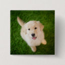 Recherche de marionnettes badges Chien