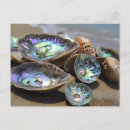 Recherche de abalone cartes postales Océan