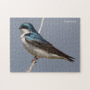 Recherche de hirondelles puzzles Oiseau