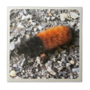 Recherche de chenille carreaux Nature