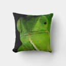 Recherche de cameleon coussins Animal