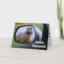 Recherche de humour de dinosaure vœux cartes Vieillissement