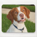 Recherche de la bretagne tapis souris Chien