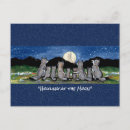 Recherche de woolf cartes postales Coloré