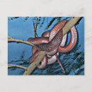 Recherche de serpent venimeux posters Enroulé