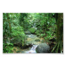 Recherche de crique photographie Arbres