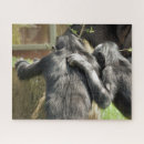 Recherche de chimpanzé puzzles Primates