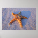 Recherche de directement art Sable