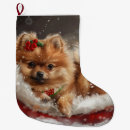 Recherche de chiens chaussette de noël Pour tous