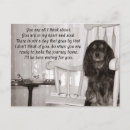 Recherche de cavalier cartes postales Animal