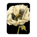 Recherche de fleurs de pavot magnets Botanique