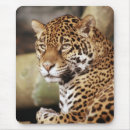 Recherche de jaguar sauvage tapis souris Animal