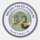 Recherche de animal velu Australien
