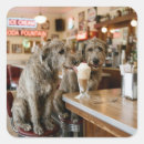 Recherche de petit levrier autocollants Chien