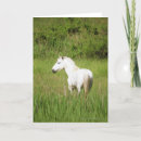 Recherche de kentucky vœux cartes Cheval