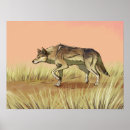 Recherche de loup indien posters Faune