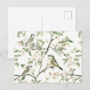 Recherche de arbre vert cartes postales Oiseaux