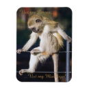 Recherche de cirque magnets Mignon