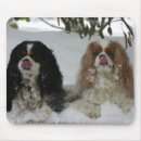 Recherche de cavaliers tapis souris Chien