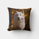 Recherche de loup arctique coussins Nature