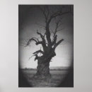 Recherche de arbre tordu posters Nature