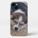 Recherche de corgi de pembroke iphone coques Chien de la reine