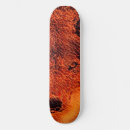 Recherche de wolf skateboards Feu