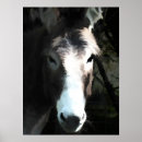 Recherche de ânes posters Animal