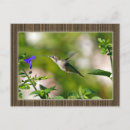 Recherche de encadrer cartes postales Fleurs