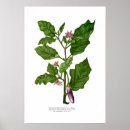 Recherche de aubergine posters Vintage