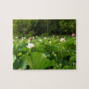 Recherche de fleur lotus de puzzles Toute personne
