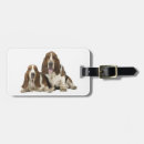 Recherche de domestiqué accessoires Animal familier