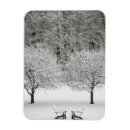 Recherche de couvert magnets Personne