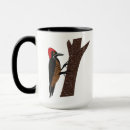 Recherche de plumes blanches tasses Oiseau