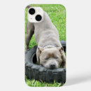 Recherche de jouets iphone coques Animal de compagnie