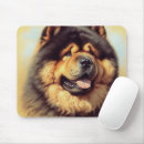 Recherche de chow tapis souris Chiot