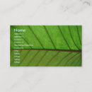 Recherche de pharmaceutiques cartes visite Affaires