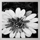 Recherche de bit posters Pixel